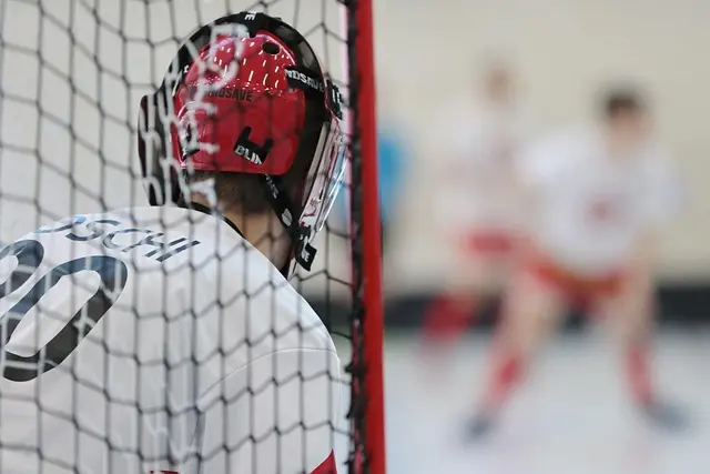 How to Choose the Right Sports Equipment for Beginners