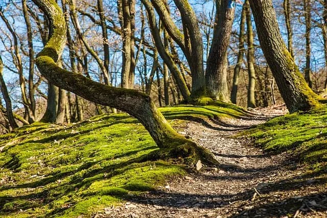 5 Essential Techniques to Boost Your Running Efficiency