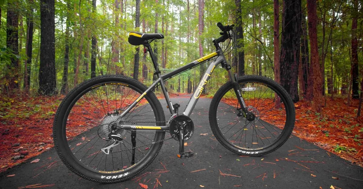 Vélo de Route vs Vélo de Montagne : Quelles Différences ?