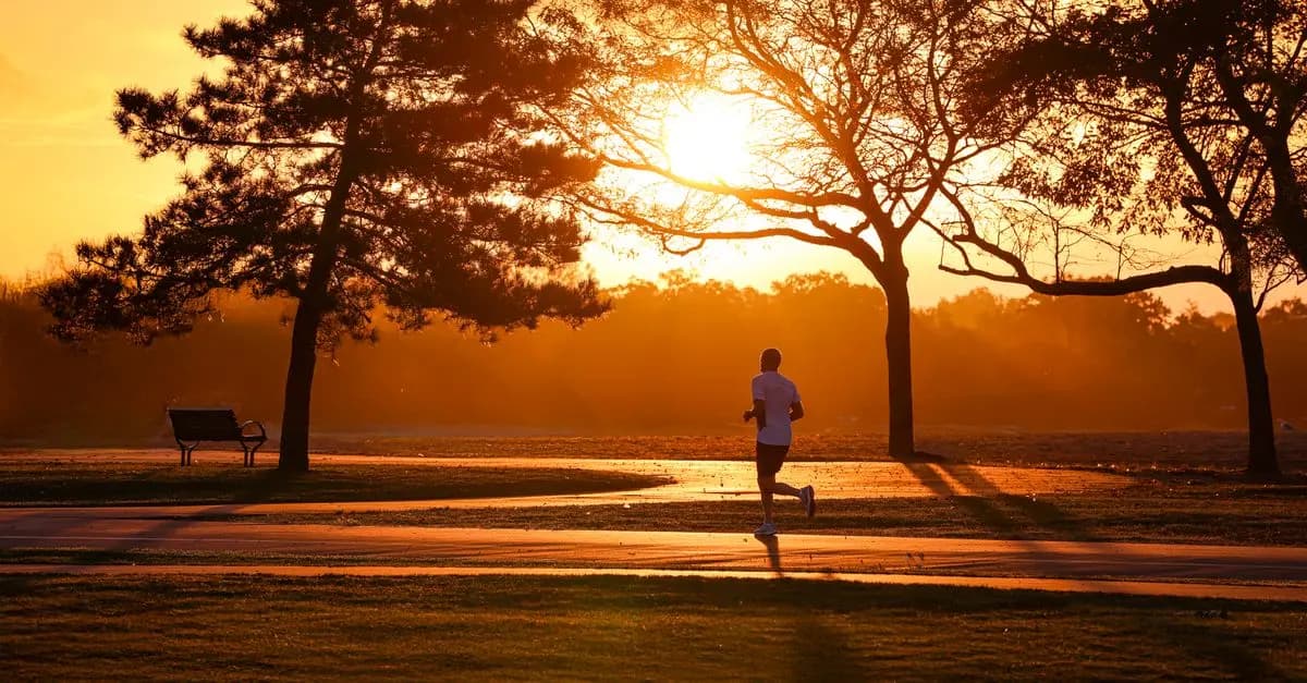 How to Improve Cardiovascular Fitness Effectively