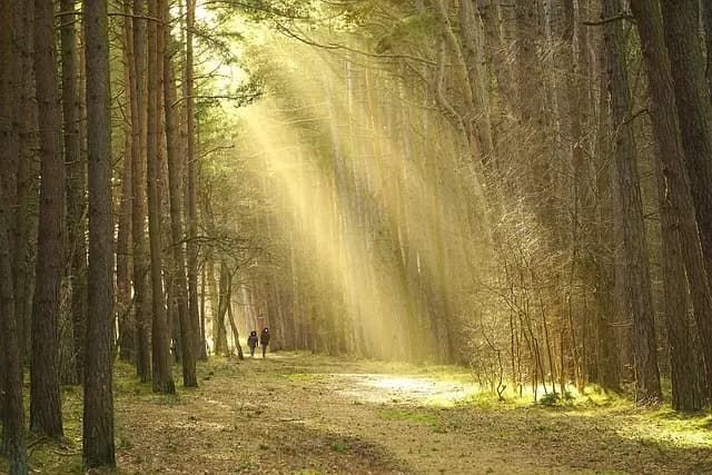 Comment Améliorer votre Souplesse: 5 Techniques Simples