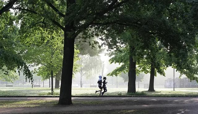 10 Easy Techniques to Improve Your Running Technique